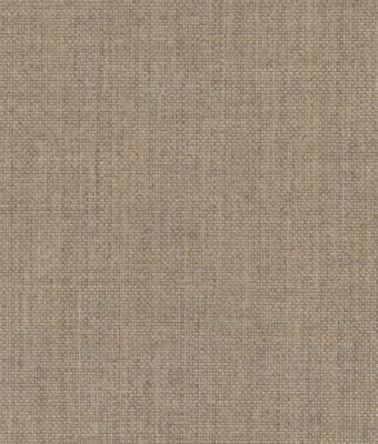 AW5606-21